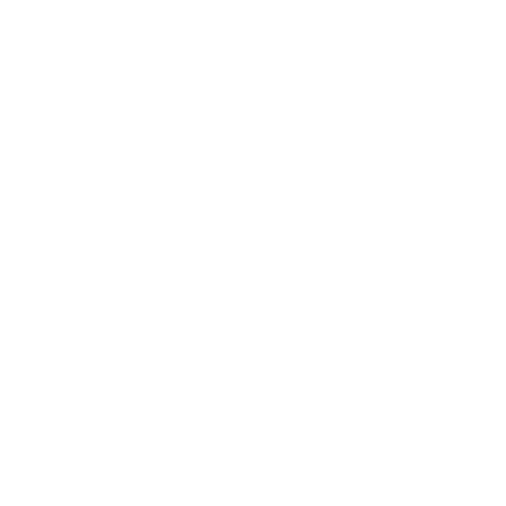 N E Chemical logo